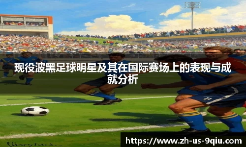 现役波黑足球明星及其在国际赛场上的表现与成就分析
